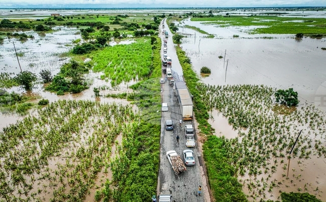 Вследствие на наводненията в градовете на Мозамбик се появиха крокодили