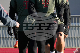 Germany Champions League Soccer