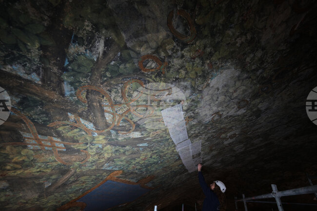 Italy Leonardo da Vinci Restoration