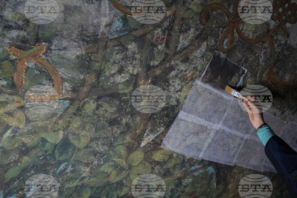 Italy Leonardo da Vinci Restoration