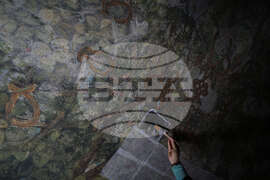 Italy Leonardo da Vinci Restoration