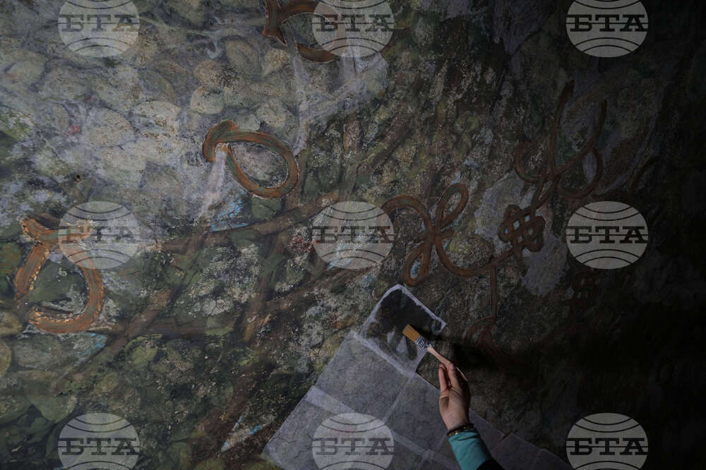 Italy Leonardo da Vinci Restoration