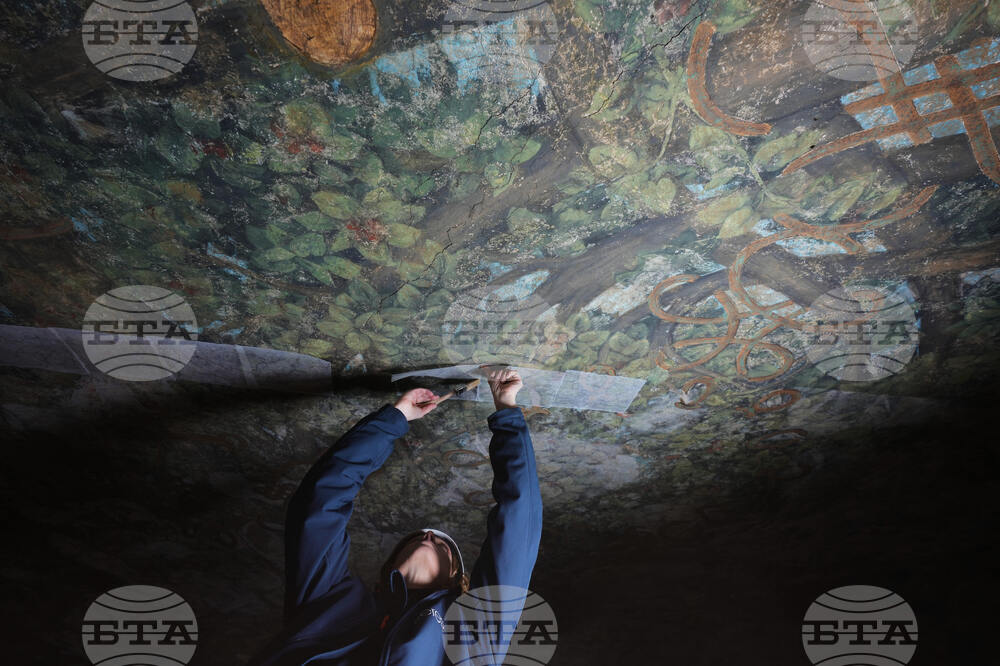 Italy Leonardo da Vinci Restoration