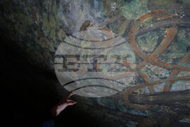 Italy Leonardo da Vinci Restoration