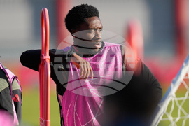 Germany Champions League Soccer