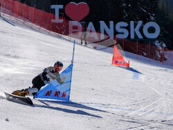 Снимка: Община Банско