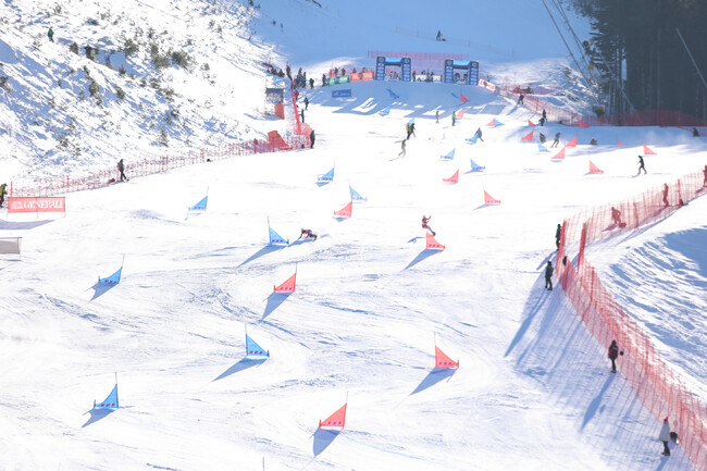 Община Банско: Продължава силното представяне на българския отбор по сноуборд в Банско на Европейската купа 2026
