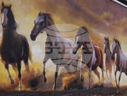 Галерия „Милениум“ - Юрий Ковачев - изложба