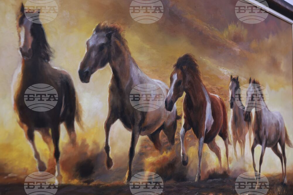 Галерия „Милениум“ - Юрий Ковачев - изложба