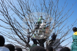 Senegal Africa Cup of Nations Soccer