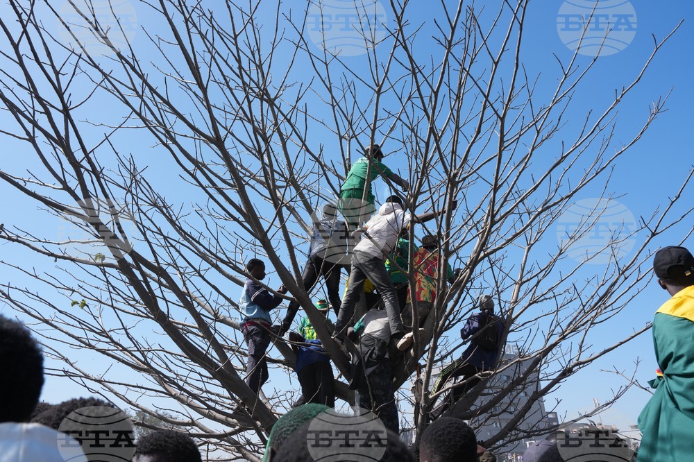 Senegal Africa Cup of Nations Soccer