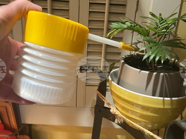 Gardening-Houseplant Pests