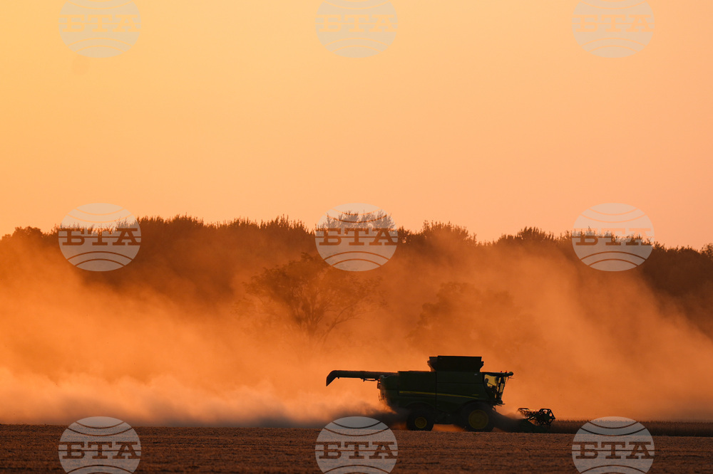 Trump China Trade Soybeans