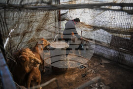 Israel Palestinians Gaza