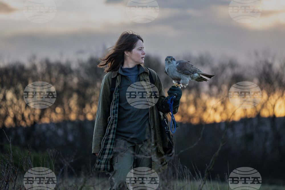 Film Review - H is for Hawk