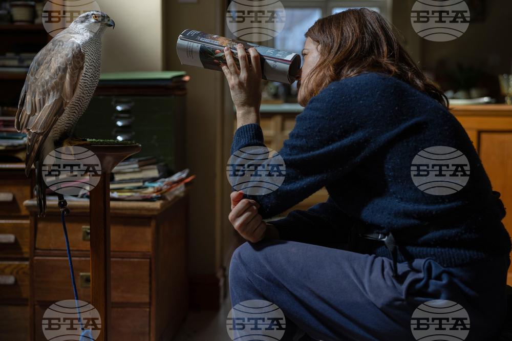 Film Review - H is for Hawk