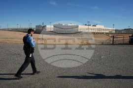 Immigration California Senators