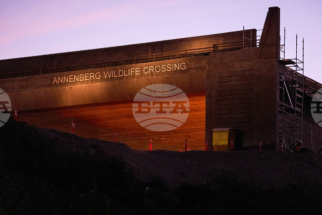 California Wildlife Crossing