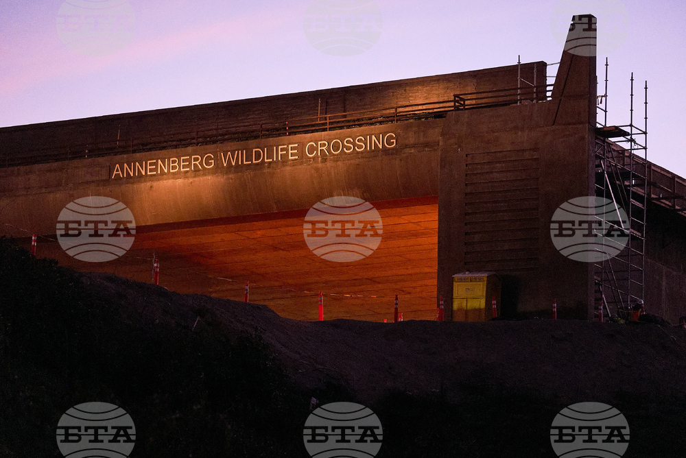 California Wildlife Crossing