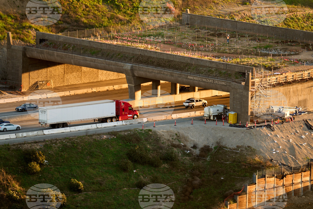 California Wildlife Crossing