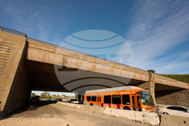 California Wildlife Crossing