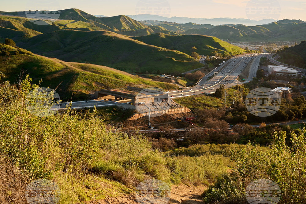 California Wildlife Crossing