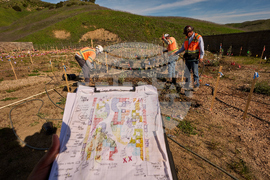 California Wildlife Crossing