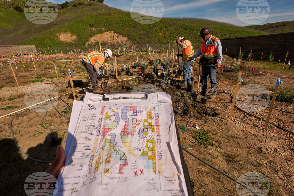 California Wildlife Crossing
