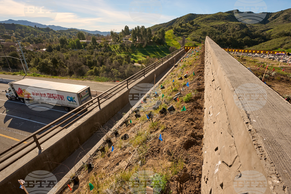 California Wildlife Crossing
