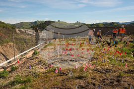 California Wildlife Crossing