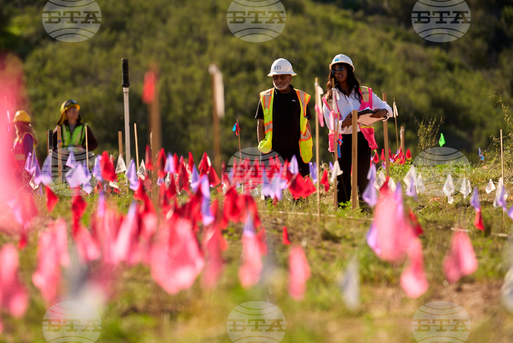 California Wildlife Crossing
