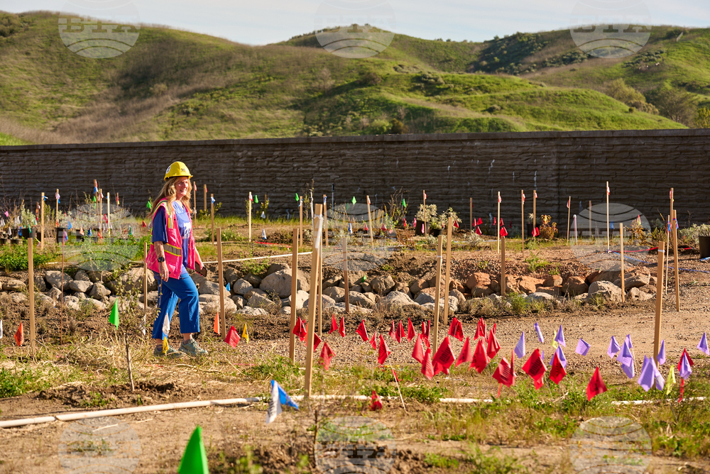 California Wildlife Crossing