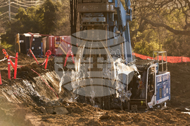 California Wildlife Crossing