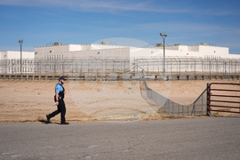 Immigration California Senators