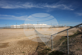 Immigration California Senators