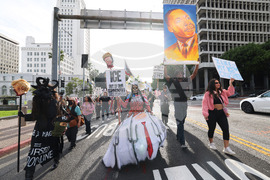 Trump Immigration Protests