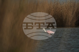 Climate Louisiana Daily Life