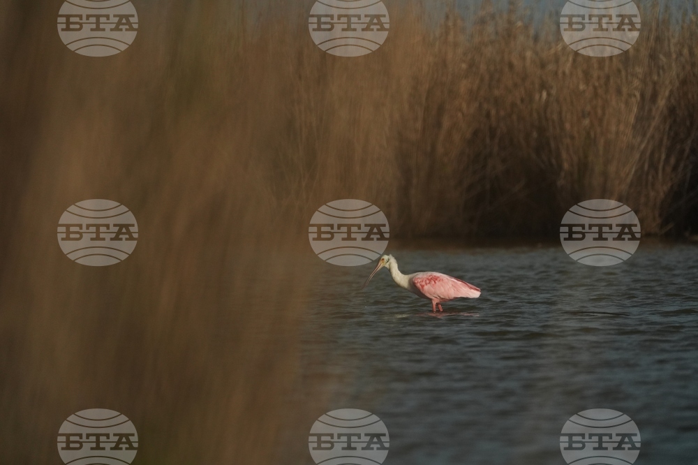 Climate Louisiana Daily Life