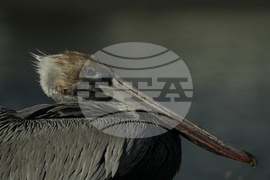 Climate Louisiana Daily Life