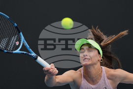 Australian Open Tennis