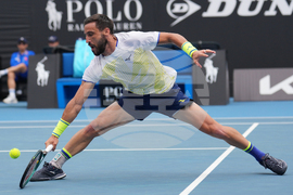 Australian Open Tennis