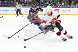 Senators Blue Jackets Hockey
