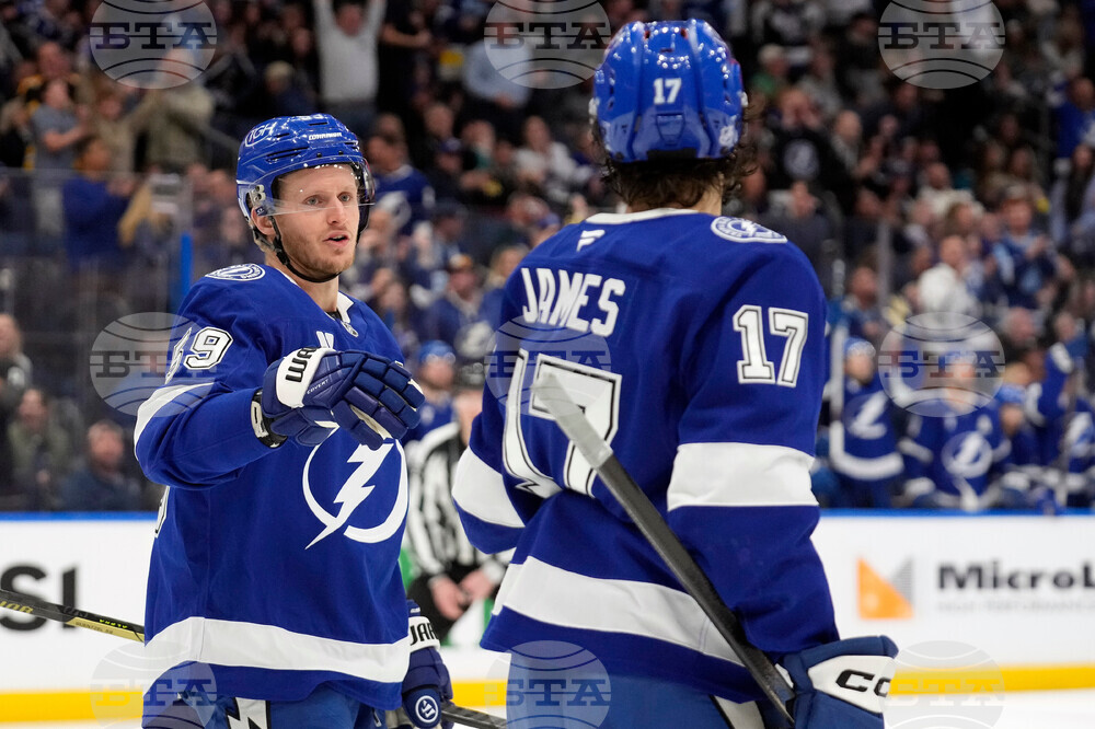 Sharks Lightning Hockey