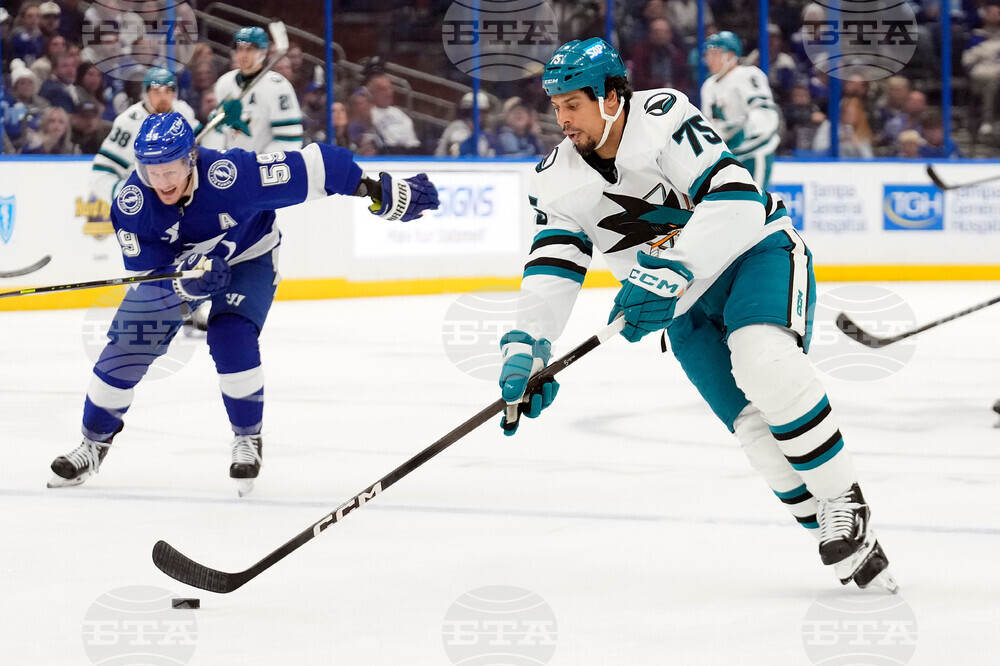 Sharks Lightning Hockey