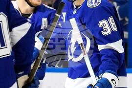 Sharks Lightning Hockey