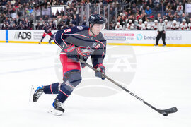 Senators Blue Jackets Hockey