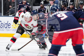 Senators Blue Jackets Hockey