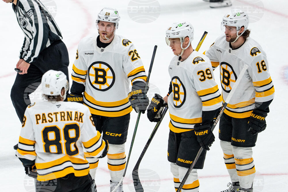 Bruins Stars Hockey