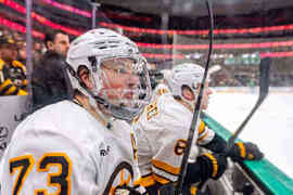 Bruins Stars Hockey