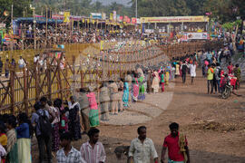 India Bull Festival Photo Essay